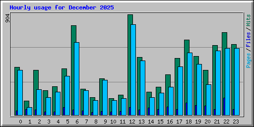 Hourly usage for December 2025