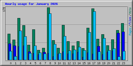 Hourly usage for January 2026
